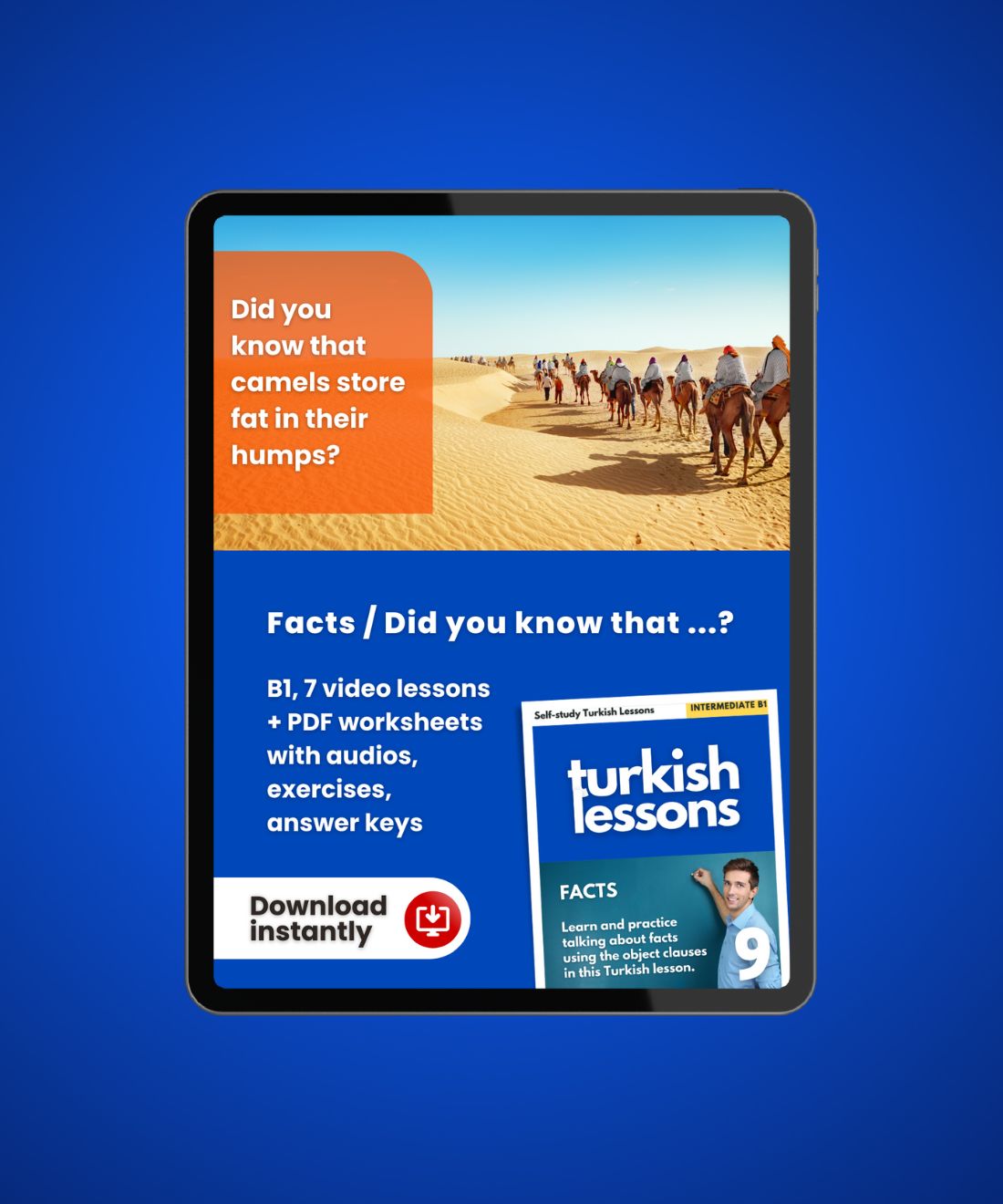 Turkish Lessons B1/9: Facts