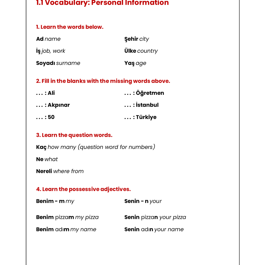 STARTER Turkish Course (On Whatsapp)