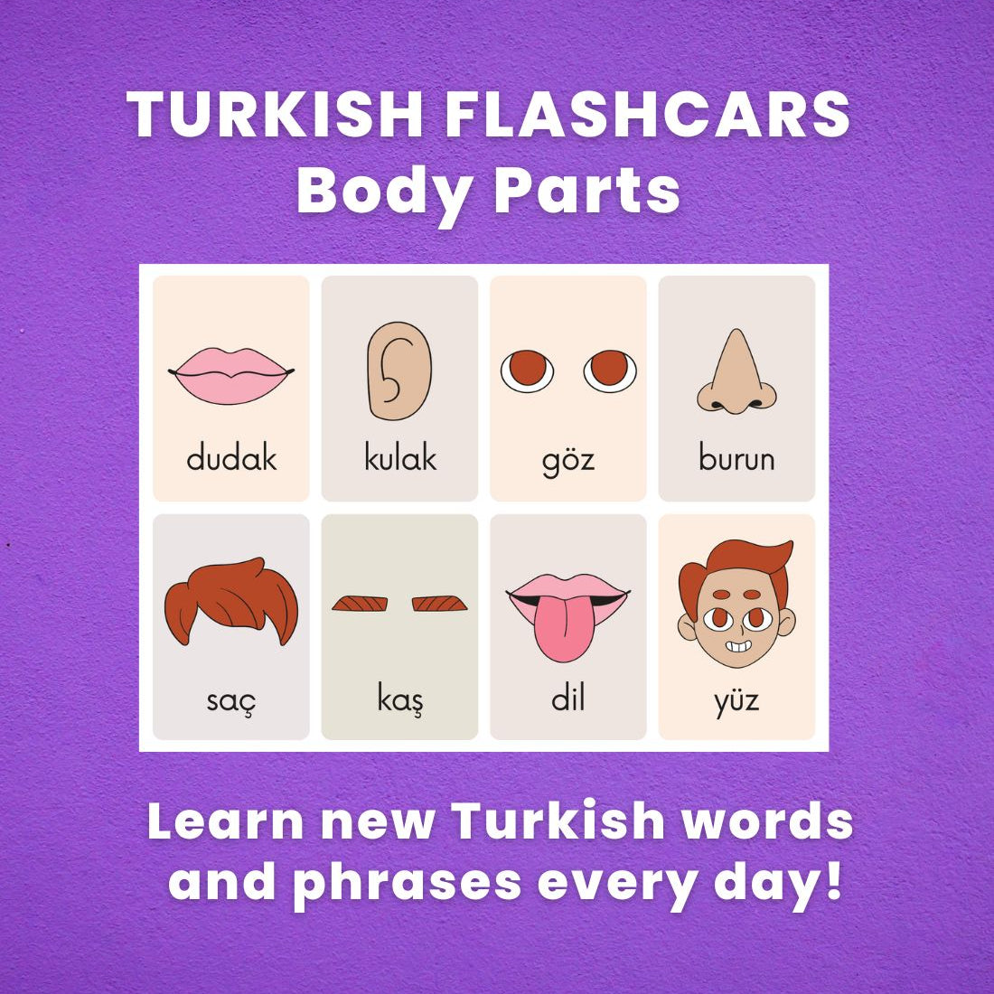 Turkish Flashcards  | Body Parts in Turkish