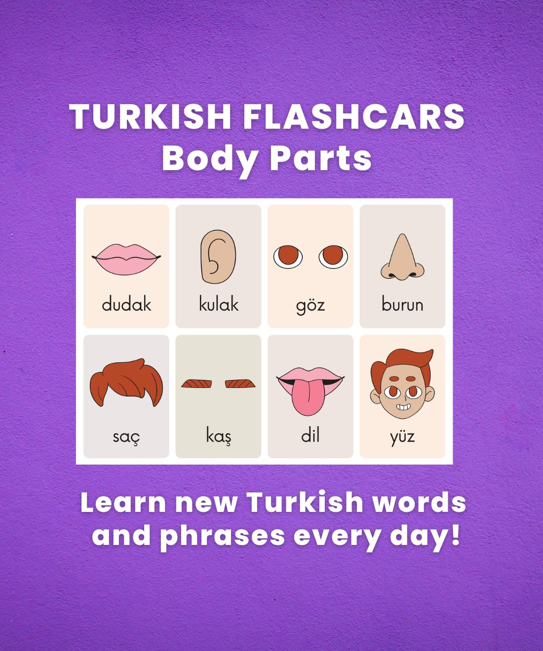 Turkish Flashcards  | Body Parts in Turkish