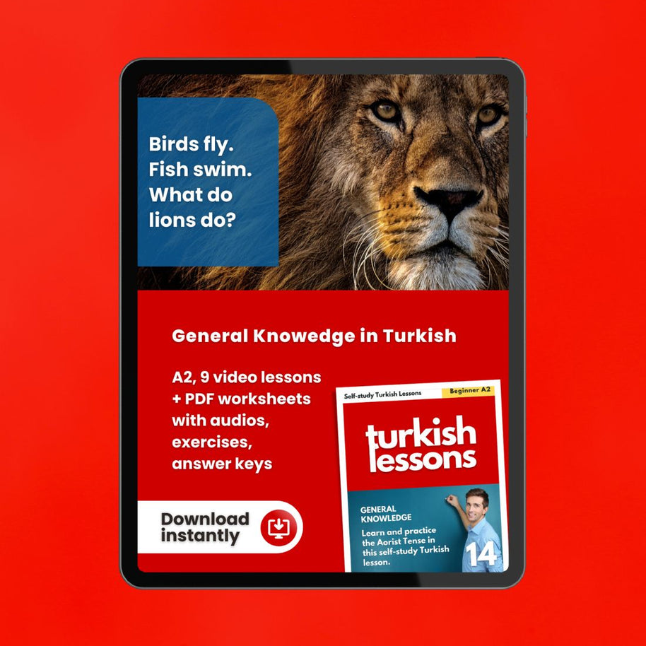 turkish lessons a2 - aorist tense in turkish language