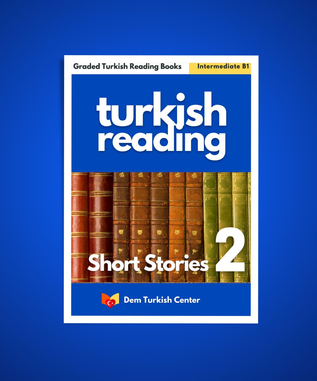 turkish stories b1 pdf