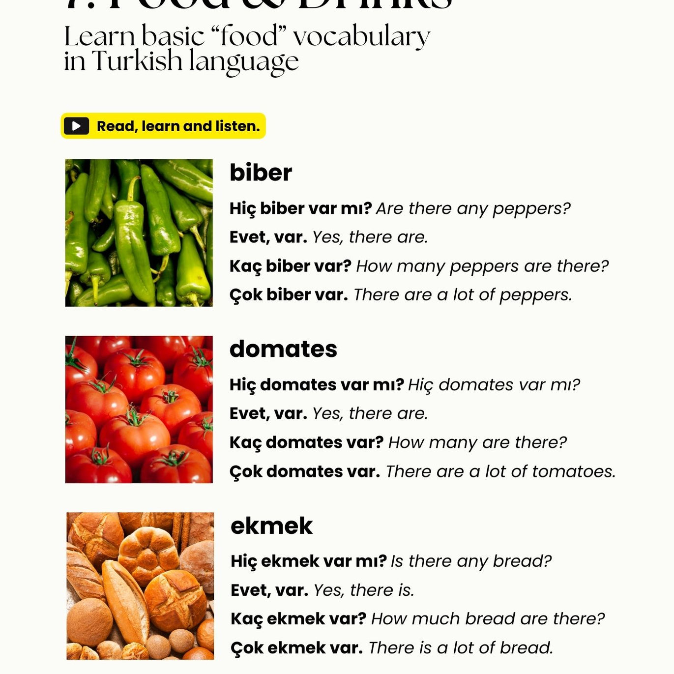 Turkish Starter Crash Course